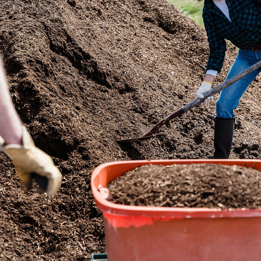 Landscape Labour